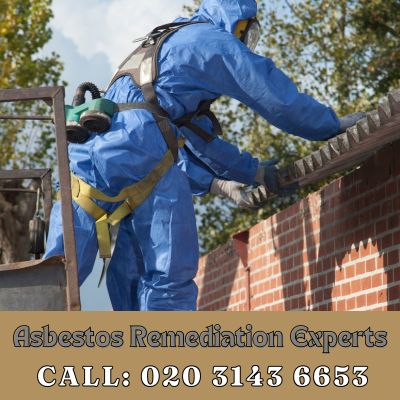 Asbestos Remediation Experts Botany Bay