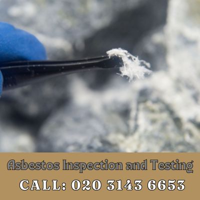 Comprehensive Asbestos Inspection and Testing Services in Botany Bay